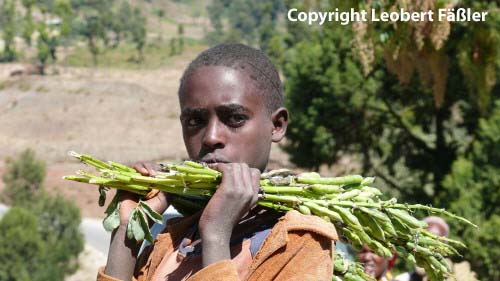 A08_234 Oromo Junge