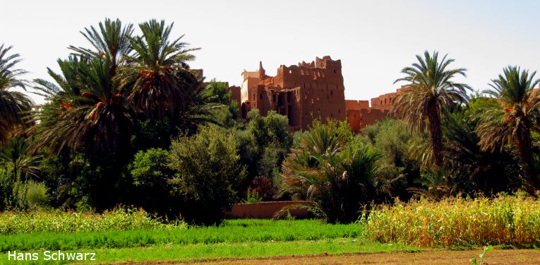 Marokko_2009_2_386-Hans